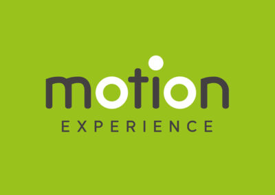 Motion Experience