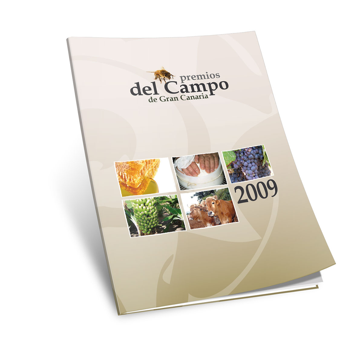 campo2